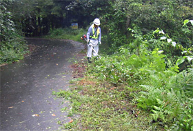 道路維持作業