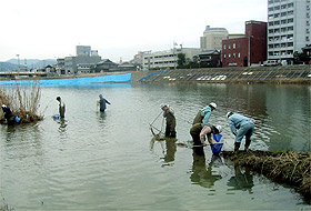 生物保護活動