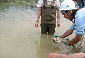 生物保護活動